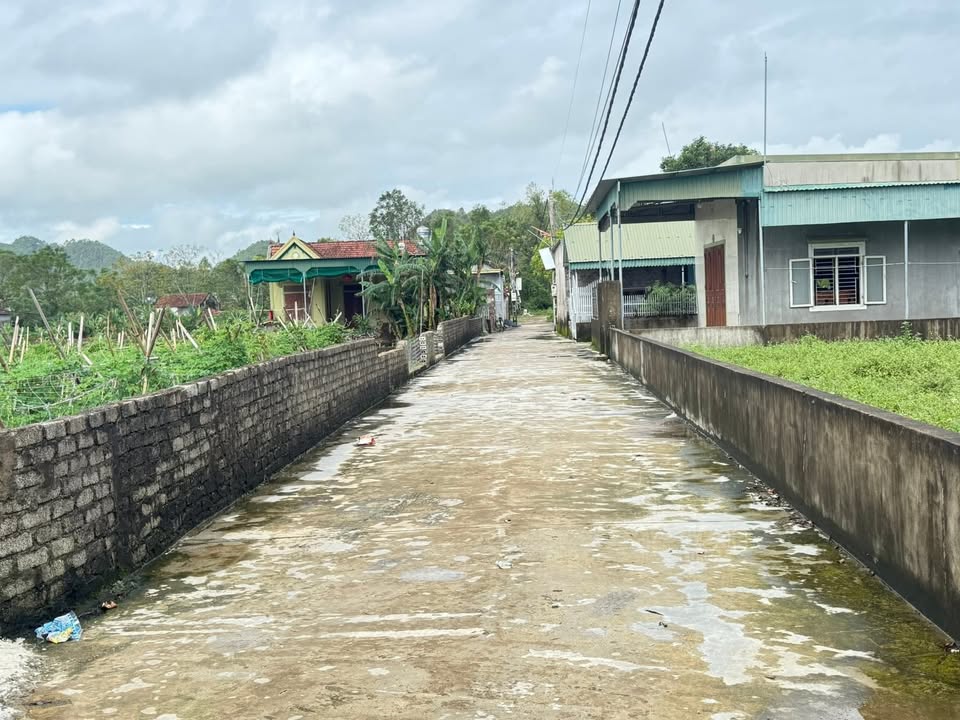 Đất thổ cư thôn 11 xã Quỳnh Văn 180m² - Cơ hội đầu tư sinh lời