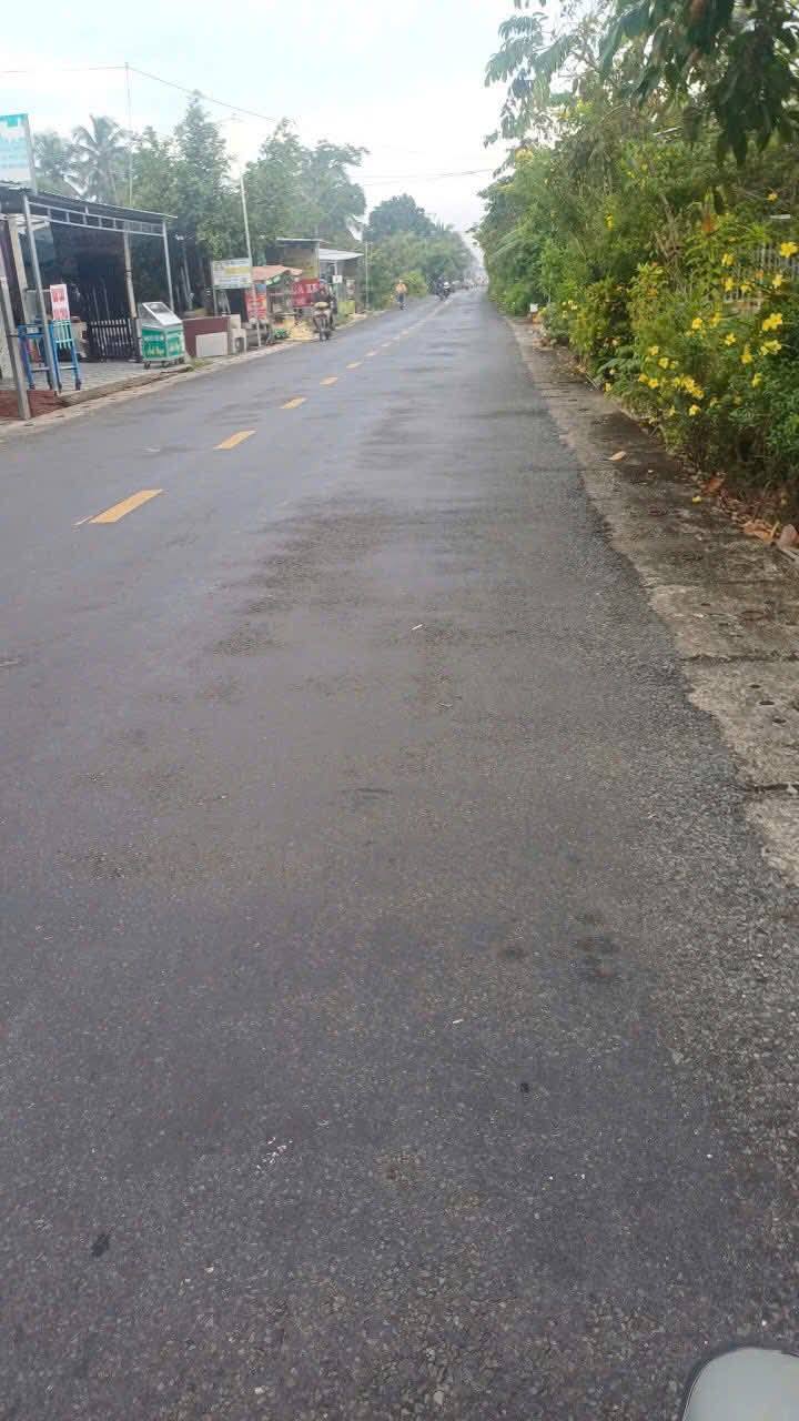 Nhà cho thuê 280m² tại Phú An, Cai Lậy - Đầu tư sinh lời hấp dẫn!