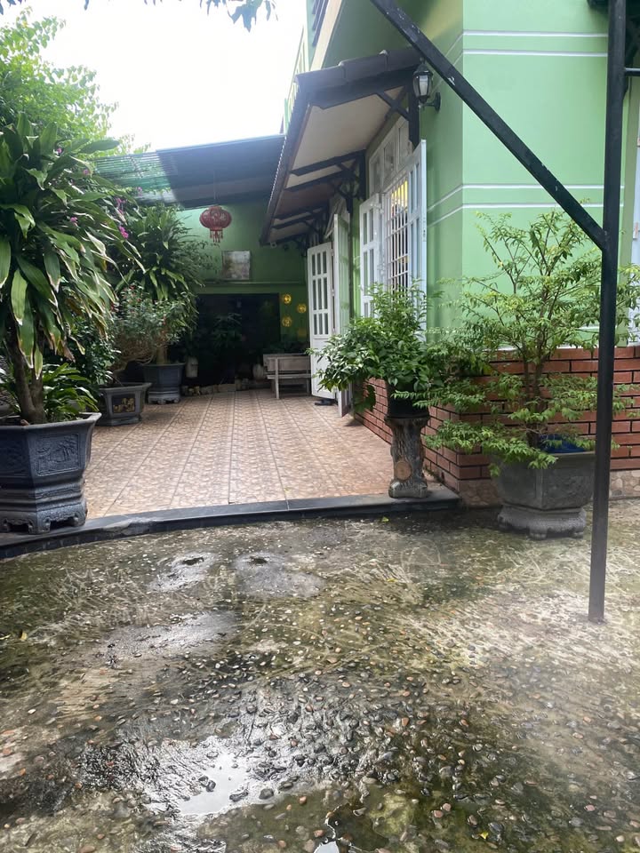 Nhà vườn 254m² Phường 11, Vũng Tàu - Chính chủ cần bán gấp!