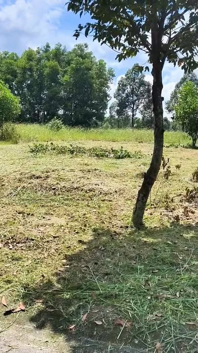 Lô đất 150m² giá 1,4 tỷ tại khu B Becamex Bàu Bàng - Cơ hội đầu tư tuyệt vời!