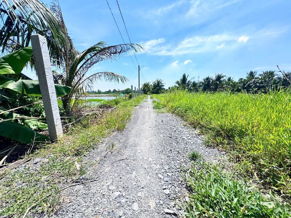 Đất nền Hòa Khánh Đông, Đức Hòa, Long An 192m² giá 800 triệu - Đầu tư sinh lời ngay!