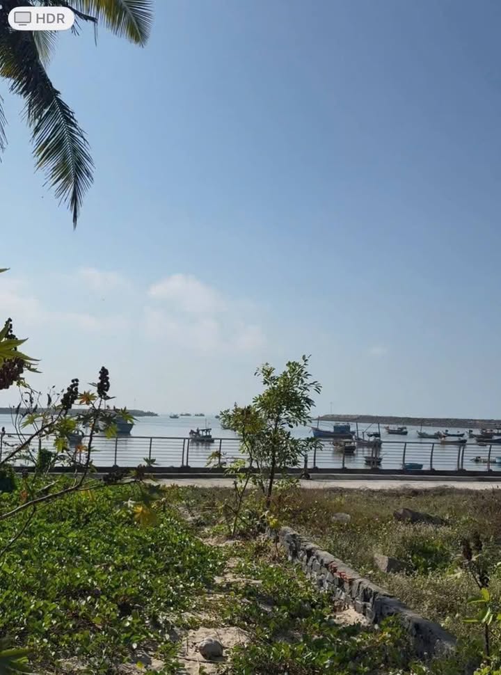 Đất nền biển Bình Châu 442m² giá 13.5 tỷ - Đầu tư sinh lời ngay!