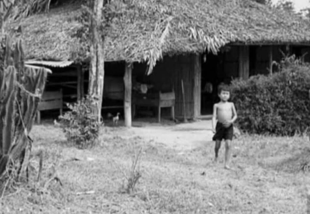 Đất thổ cư 264m² tại An Phú Tây, Bình Chánh - Giá thỏa thuận hấp dẫn!