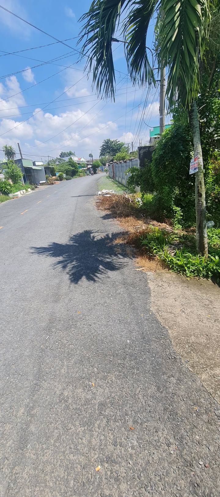 Đất thổ cư 256m² đường Nguyễn Văn Khải, Mỹ Thọ - Giá chỉ 1.9 tỷ thương lượng!