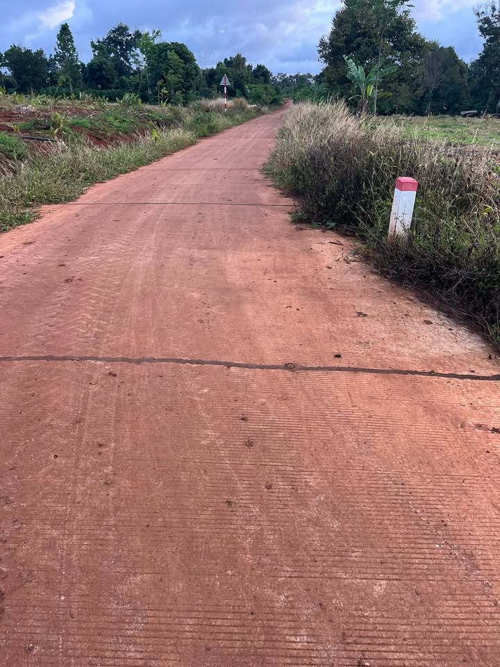 Đất mặt tiền đường bê tông 2ha tại Ea Hồ - Cơ hội đầu tư hấp dẫn!