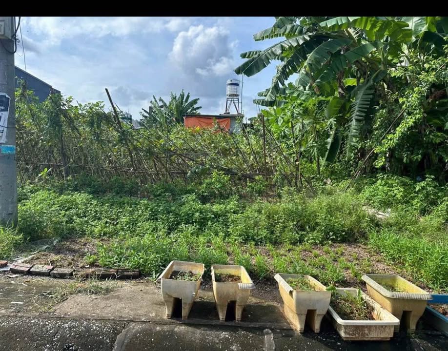 Đất nền đường Nguyễn Cao, phường Xuân Tăng, Lào Cai 100m² - Chính chủ, giá tốt!