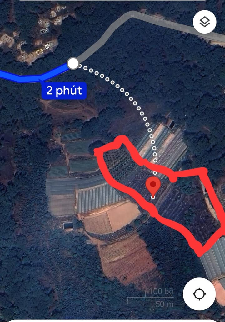 Đất nền Xuân Thọ Đà Lạt 7500m² giá 2.7 tỷ - View rừng thông đẹp mắt!