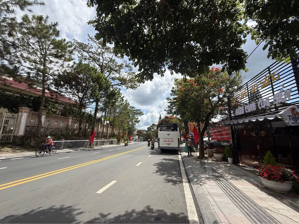 Đất mặt tiền đường Lê Hồng Phong, Đà Lạt 440m² - Vị trí kinh doanh đắc địa!