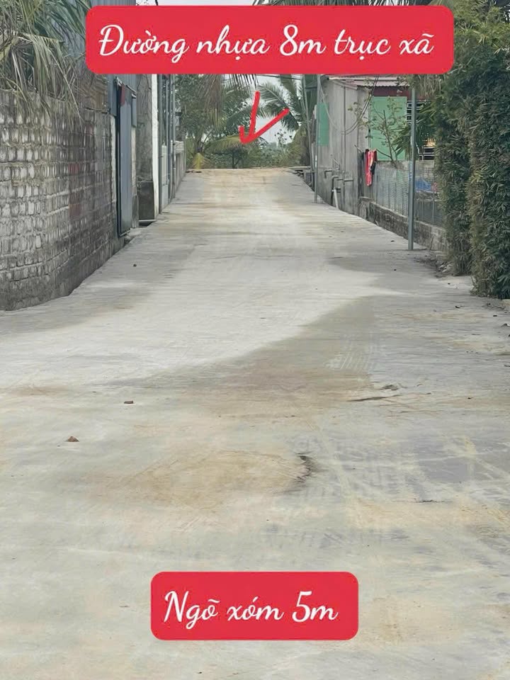 Đất nền Cụm 5 Tân Hưng 198m² giá 800 triệu - Sổ đỏ chính chủ, đầu tư sinh lời!