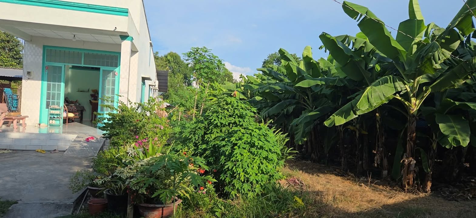 Đất nền Phước Vĩnh An, Củ Chi 250m² giá 900 triệu - Sổ hồng chính chủ, quy hoạch cây xanh