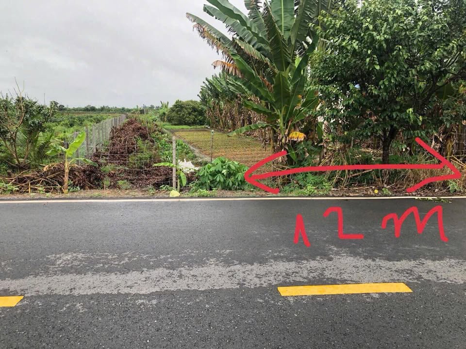 Đất nền mặt tiền đường Trương Vĩnh Nguyên Cái Răng 1.000m² - Tiềm năng phát triển vượt bậc!