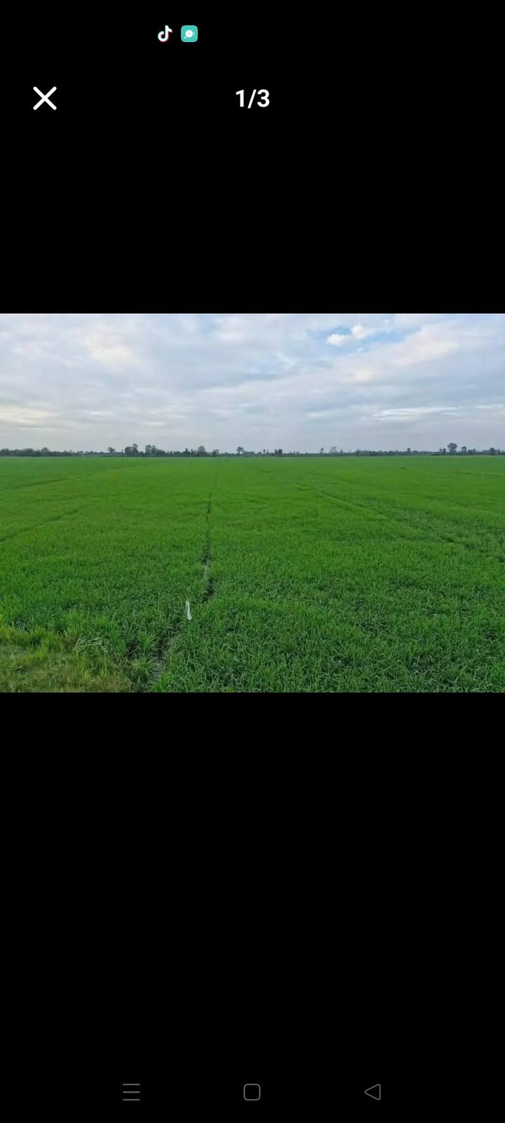 Đất nông nghiệp 17 công tại Tân Hội Trung, Cao Lãnh - Giá chỉ 5.06 tỷ, thương lượng chính chủ!