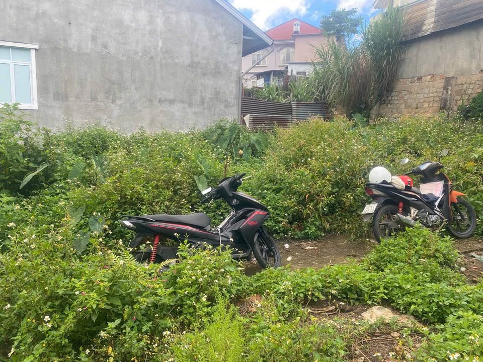 Đất nền hẻm ô tô Đào Duy Từ, Đà Lạt 45m² giá 1.1 tỷ - Sổ đỏ chính chủ!