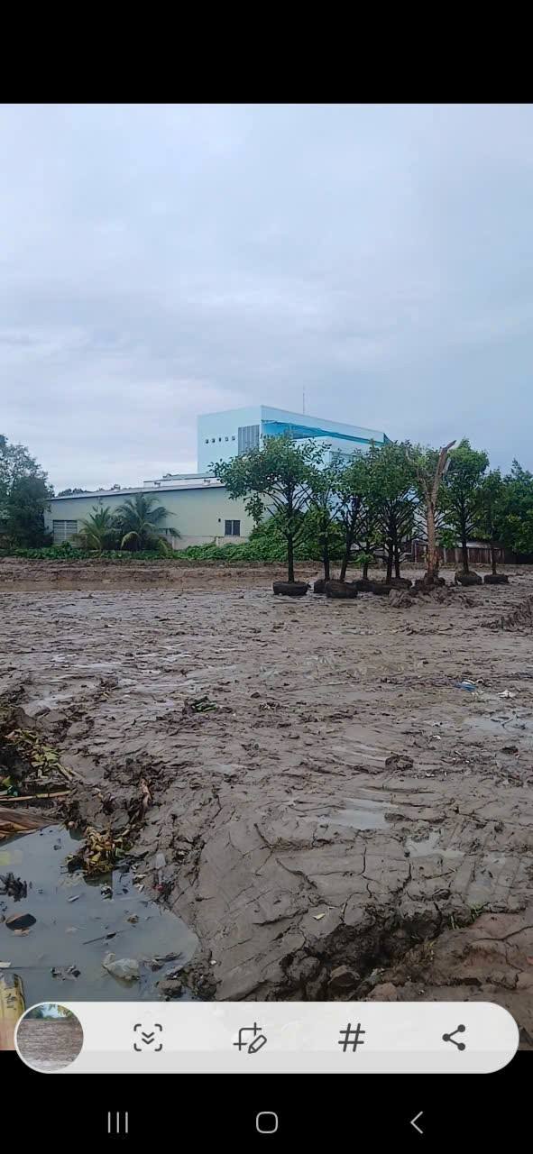 Đất nền 2000m² tại phường 3 Vĩnh Long - Tiềm năng đầu tư lớn!