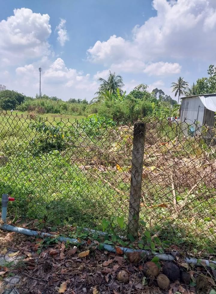 Bán đất thổ cư Phường Trường An, Vĩnh Long 263m² - Mặt tiền lộ nhựa, giá tốt!