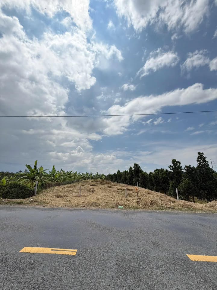 Đất CLN 319m² tại Bình Minh, Vĩnh Long - Giá chỉ 1.1 tỷ, thương lượng ngay!