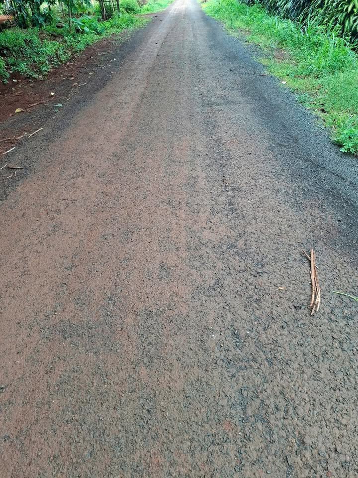 Farm 4.3ha tại xã Phú Văn, Bù Gia Mập - Giá chỉ 6 tỷ, pháp lý rõ ràng!