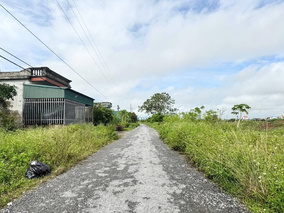 Lô đất đẹp tại Đông Trà, Tiền Hải 158m² giá chỉ 1.2 tỷ - Đầu tư sinh lời ngay!