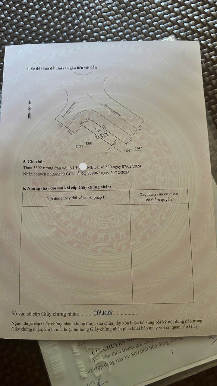 Đất nền Rừng Thông, Đông Sơn, Thanh Hóa 90m² - Đầu tư sinh lời ngay!