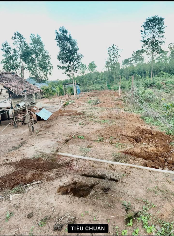 Đất thổ cư Đăk Rơ Wa 235m² giá chỉ 2xx triệu - Cơ hội đầu tư tuyệt vời!