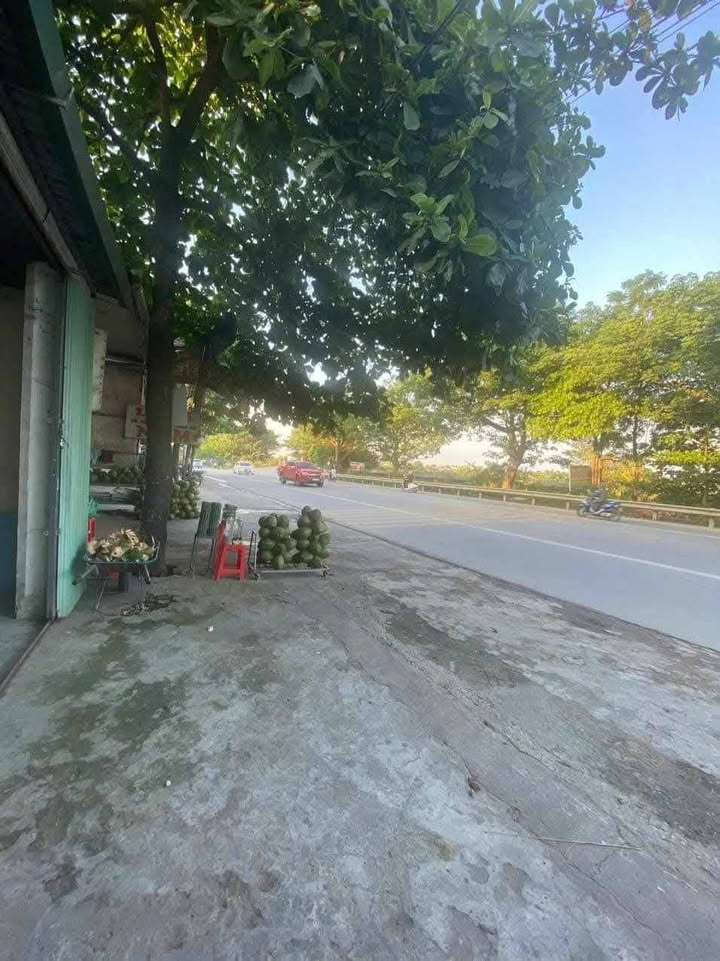 Cho thuê nhà & văn phòng tại Thanh Hóa 200m² - Vị trí đắc địa, giá thỏa thuận!