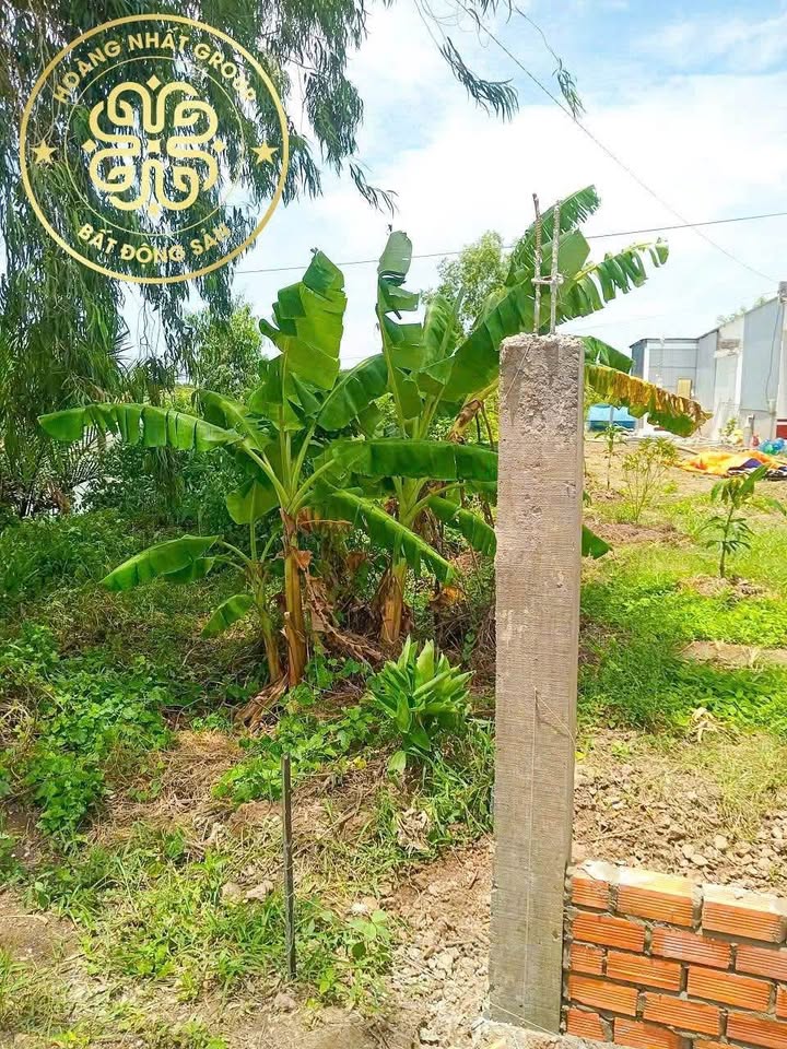 Đất mặt tiền view sông Hòa Thành, Cà Mau 510m² giá 1 tỷ - Cơ hội đầu tư tuyệt vời!