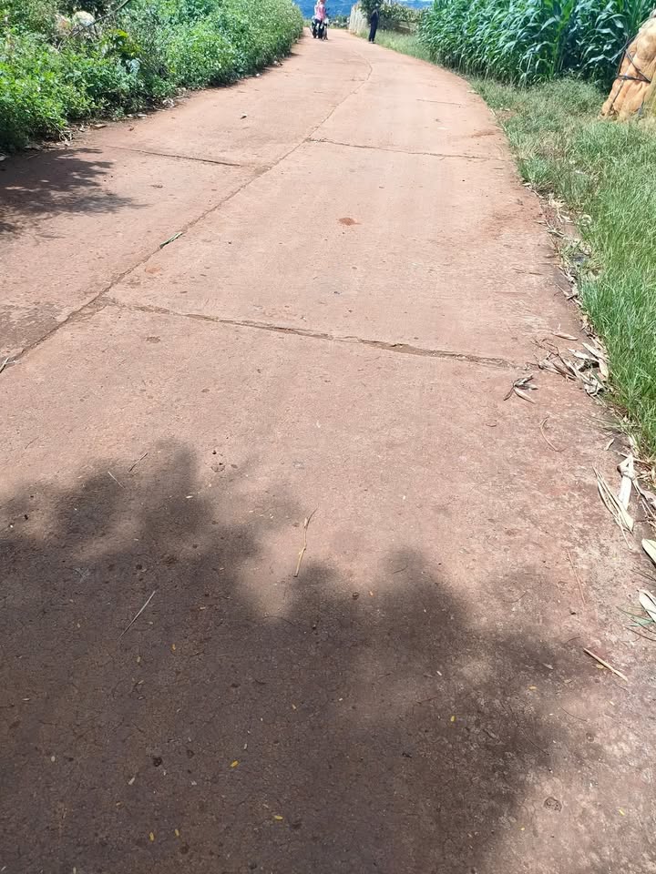 Đất thổ cư Tân Hội 3600m² giá chỉ 820 triệu - Đầu tư sinh lời ngay!