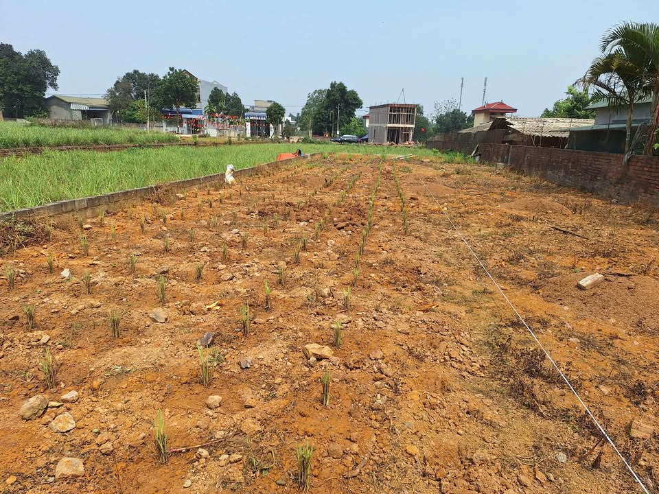 Đất thổ cư 383,7m² tại thôn Hòa Trúc, giá thương lượng - Đầu tư sinh lời nhanh!