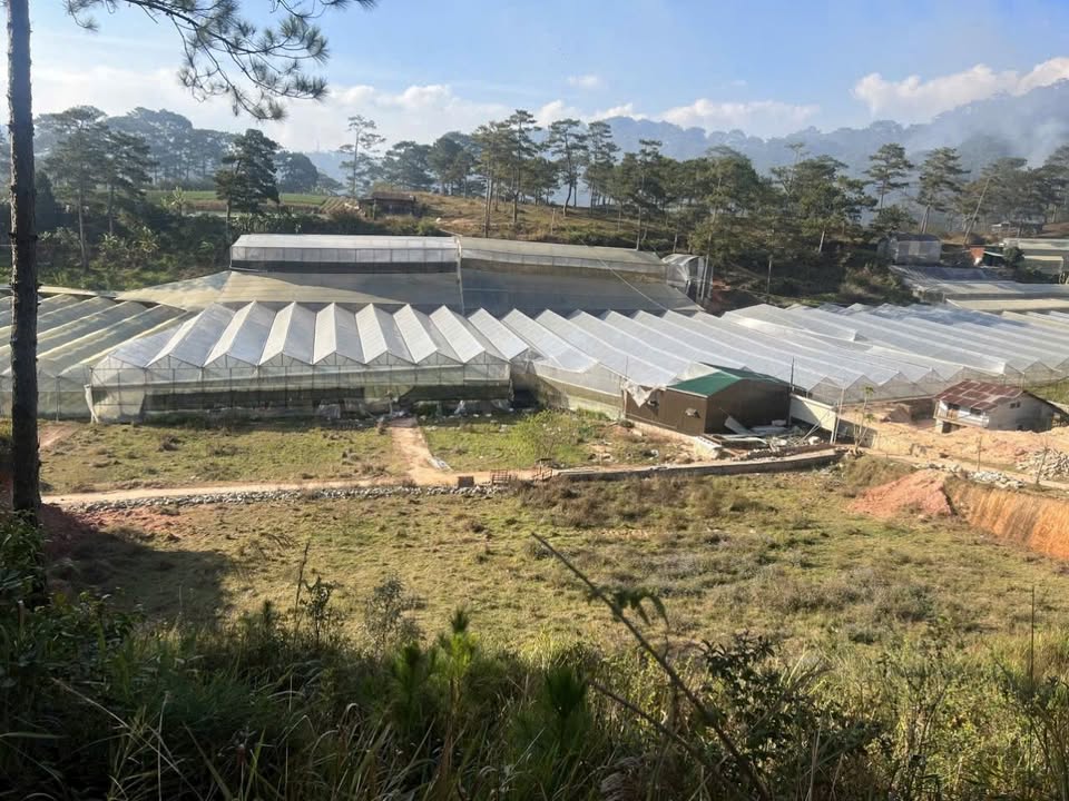 Đất 2 mặt tiền Phường Lang Biang Đà Lạt 167m² giá chỉ 879 triệu - Cơ hội đầu tư hiếm có!