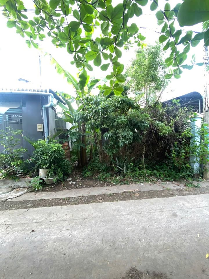 Đất nền Long Phước, Thủ Đức 234m² giá 6.999 tỷ - Sổ hồng riêng, đầu tư sinh lời!