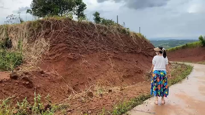 Đất nền Đắk Nia 1 ha giá thương lượng - Vị trí đắc địa cho đầu tư!