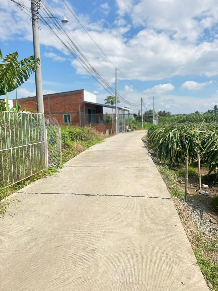 Đất nền 1000m² phường Nhựt Chánh, Bến Lức - Giá 2.15 tỷ, sổ đỏ chính chủ!