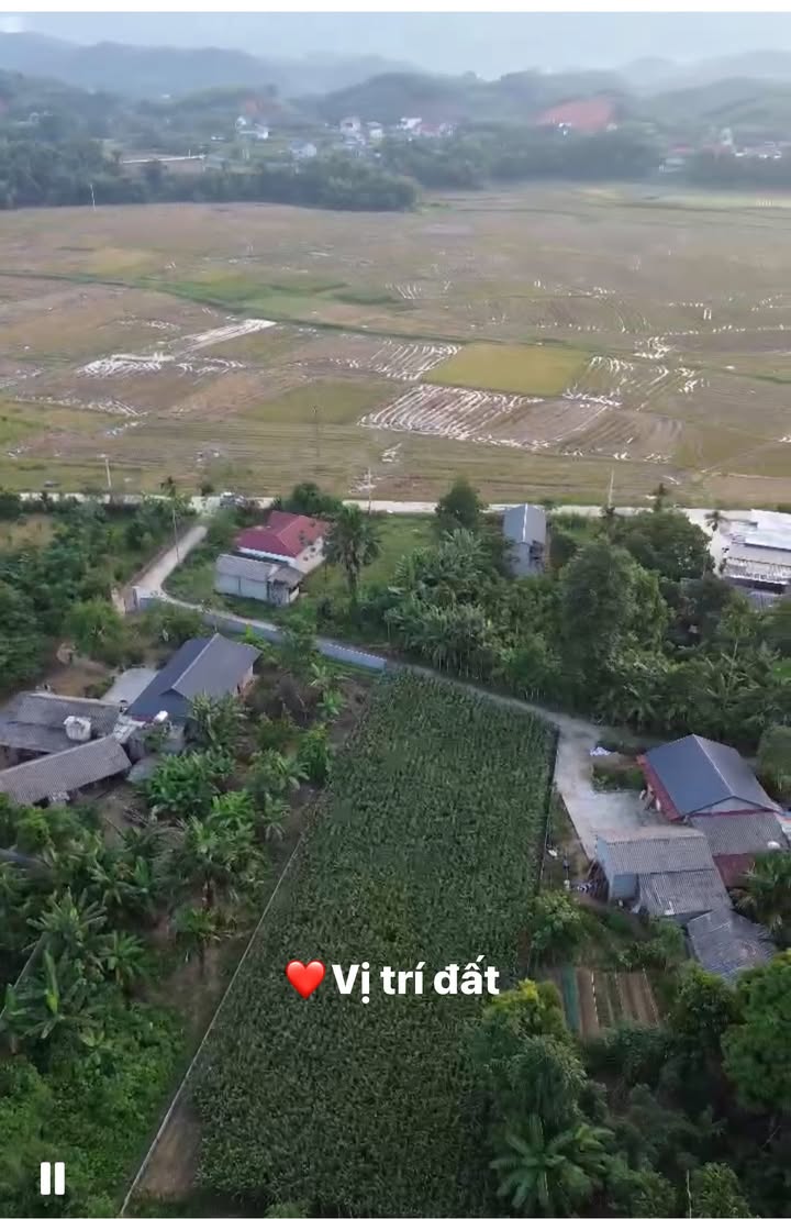 Đất nền Yên Lập, Hạ Hoà 1253m² giá 899 triệu - Đầu tư sinh lời tuyệt vời!