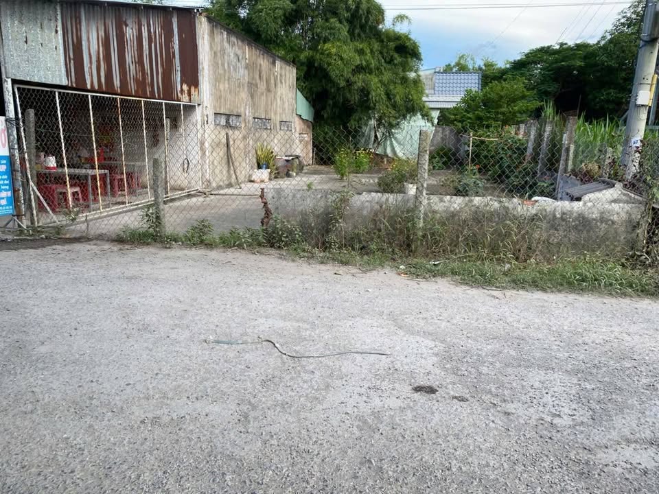 Đất nền 184m² mặt tiền huyện lộ 8, Trà Vinh - Giá chỉ 1 tỷ có thương lượng!