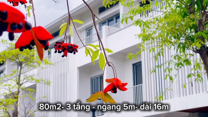 Nhà 3 tầng 80m² tại Huế - Giá chỉ 4 tỷ, hỗ trợ lãi suất 0%!