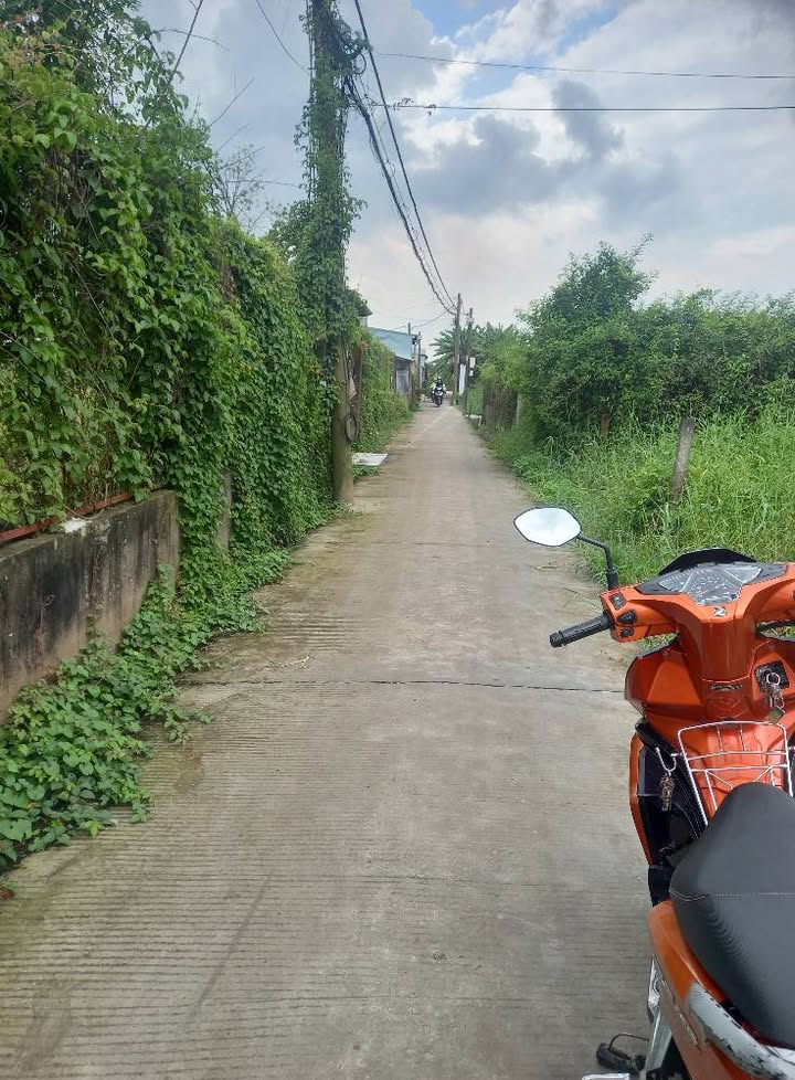 Đất vườn Đa Phước 205m² giá 800 triệu - Đầu tư sinh lời ngay!