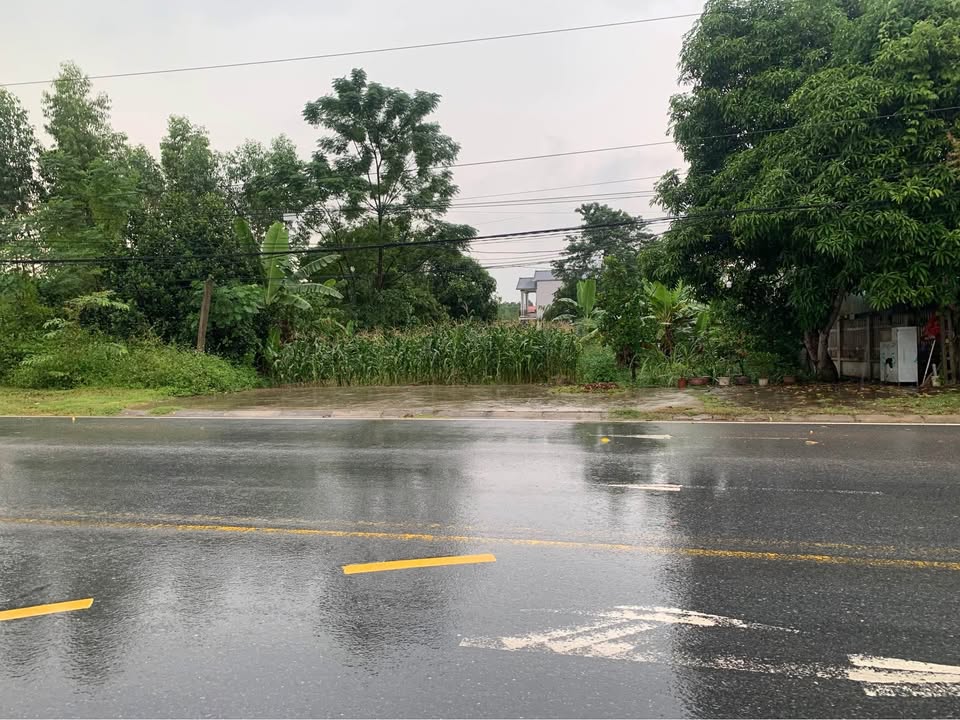 Đất mặt đường Tôn Đức Thắng, Chu Hóa, Việt Trì 115m² - Tiềm năng kinh doanh lớn!