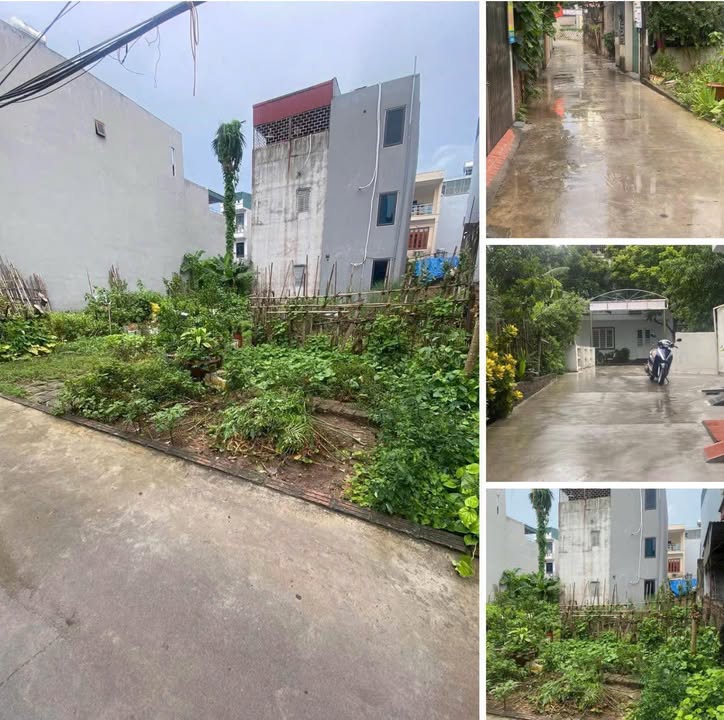 Đất nền ngõ 9 Kim Sơn, Tân Bình, Hải Dương - 50m² giá 1 tỷ - Vị trí thuận lợi, ô tô vào tận nơi!