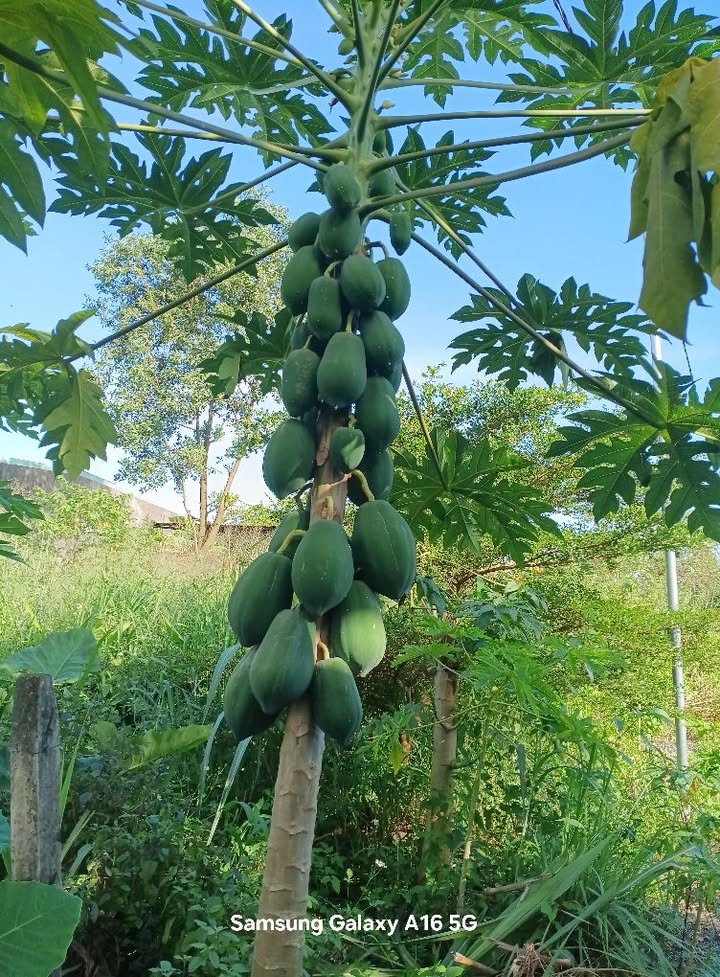 Nhà đẹp km8 Vĩnh Tân 100m² giá 580 triệu - Sẵn sàng vào ở!