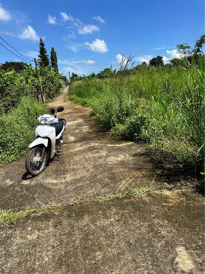 Đất nền Hưng Thịnh Trảng Bom 150m² giá 790 triệu - Sổ đỏ chính chủ, đầu tư sinh lời!