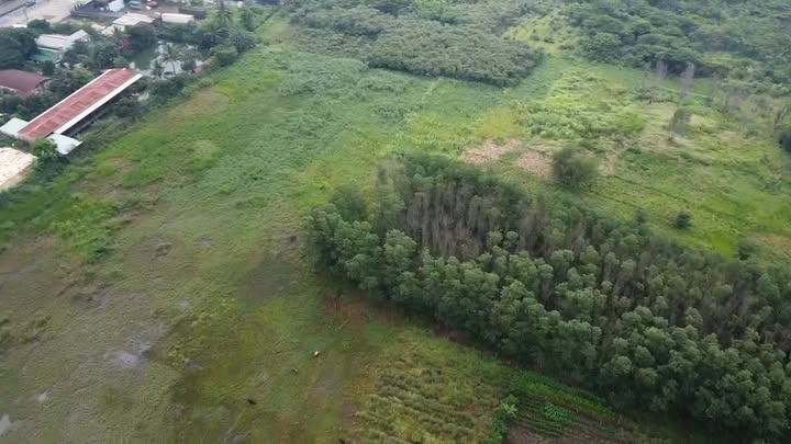 Đất mặt tiền Quốc lộ 1A, xã Hưng Thịnh, huyện Trảng Bom - 68.000m², giá chỉ 156.4 tỷ!