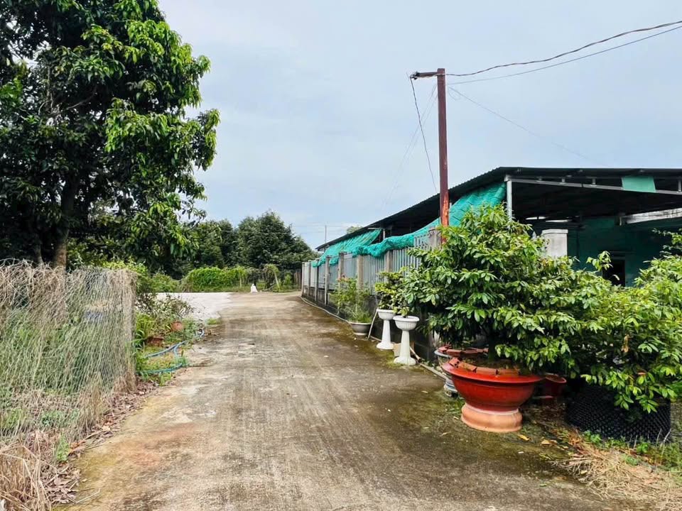 Đất nền 891m² đường 89 Long Phước Bà Rịa - Giá chỉ 2.8 tỷ!