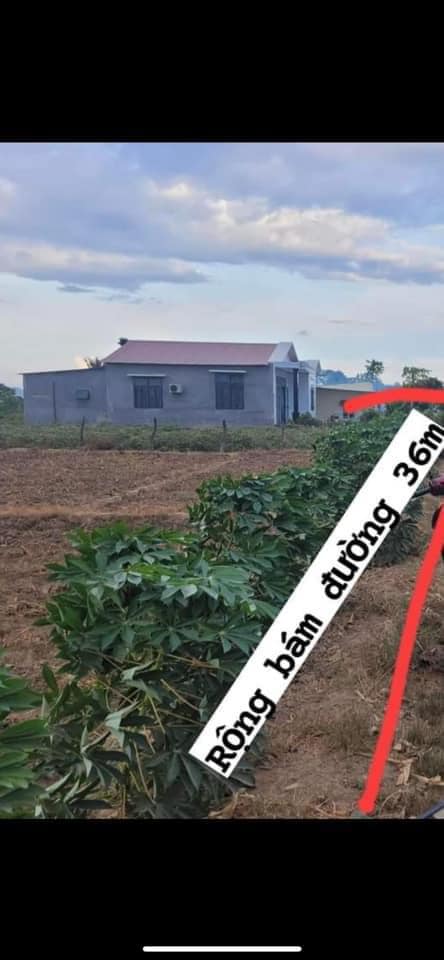 Đất nền Đô Vinh, Phan Rang-Tháp Chàm 648m² - Cơ hội đầu tư hấp dẫn!