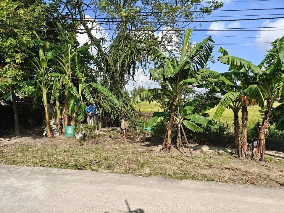 Đất nền Tân Tiến, Hưng Hà 120m² giá chỉ 900 triệu - Mặt tiền 6m, Đường thông thoáng!