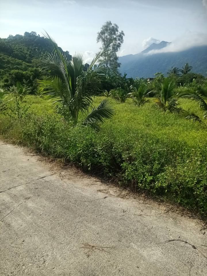 Đất nền Vạn Hưng, Khánh Hòa 461m² giá chỉ 450 triệu - Đầu tư ngay hôm nay!