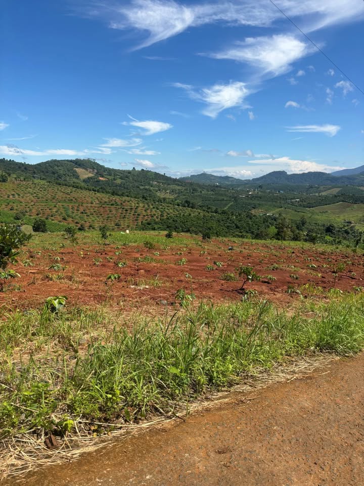 Đất nền xã Lộc Bắc, Bảo Lâm 6500m² giá 2.5 tỷ - Sổ đỏ chính chủ!