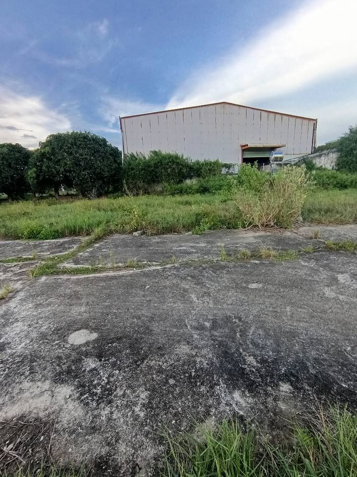 Đất thổ cư Phú Khánh, Hàm Mỹ 98.3m² giá 900 triệu - Sổ hồng riêng, ô tô vào tận nơi!