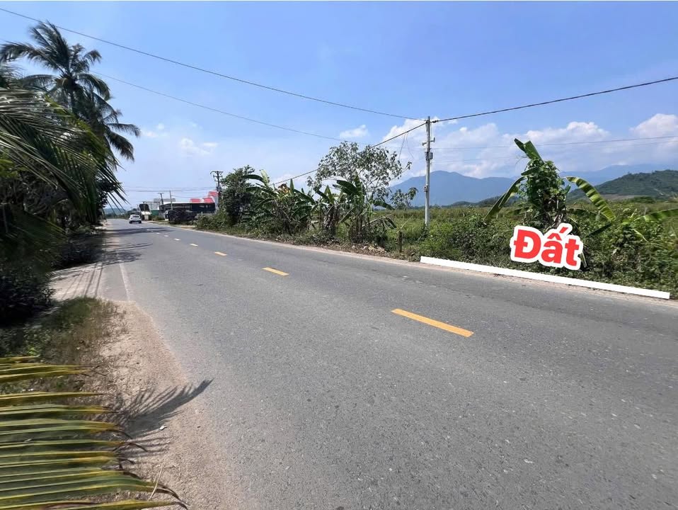 Đất thổ cư 200m² mặt tiền đường TL2, Diên Thọ - Giá chỉ 1.599 tỷ!