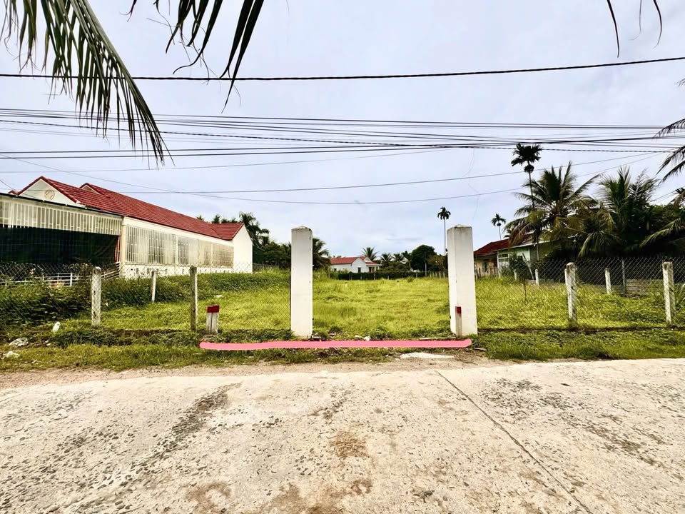 Đất thổ cư Diên Phú 110m² giá 1.2 tỷ - Mặt tiền đường nhựa rộng rãi!