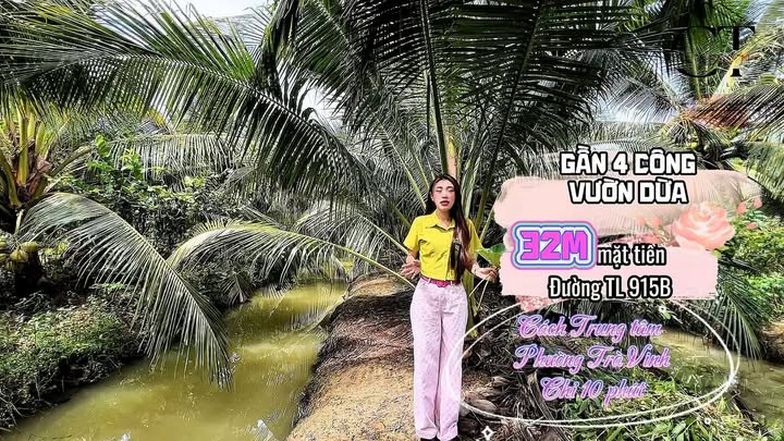 Đất nông nghiệp 3957m² tại ấp Vĩnh Lợi, Trà Vinh - Cơ hội đầu tư vàng!